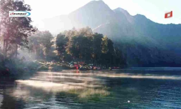 Flora dan Fauna di Kawasan Gunung Rinjani