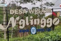 Kebun Teh Nglinggo Kulon Progo: Wisata Alam Jogja yang Sejuk dan Indah