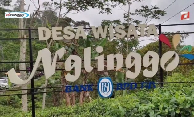 Kebun Teh Nglinggo Kulon Progo: Wisata Alam Jogja yang Sejuk dan Indah