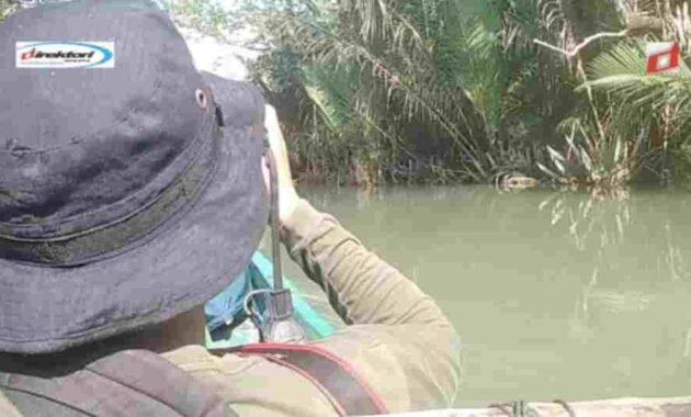 Kegiatan yang Bisa Dilakukan di Taman Nasional Ujung Kulon