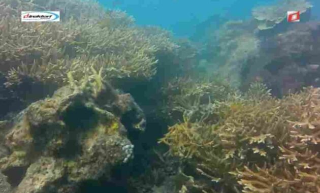 Keindahan Alam Pulau Untung Jawa