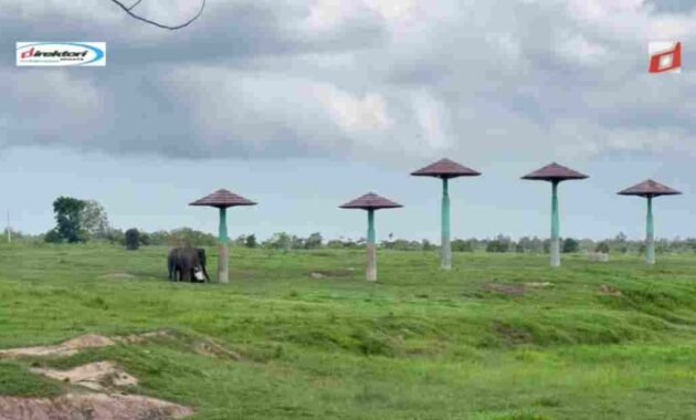 Peran Taman Nasional dalam Pendidikan Lingkungan