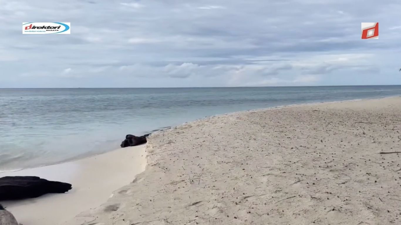 Pulau Kapoposang: Surga Bawah Laut Tersembunyi di Sulawesi Selatan