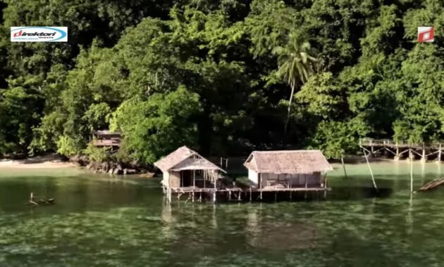 Raja Ampat: Keajaiban Bawah Laut