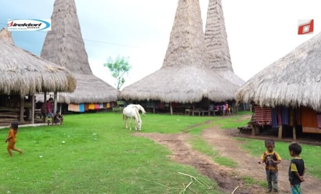 Sumba: Keindahan Alam yang Tersembunyi