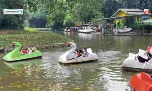 Tips Berkunjung ke Kebun Binatang Ragunan