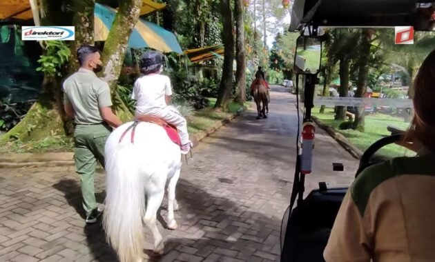 Aktivitas Keluarga di Resort