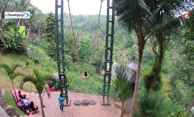 Bali Swing: Sensasi Terbang di Atas Pepohonan