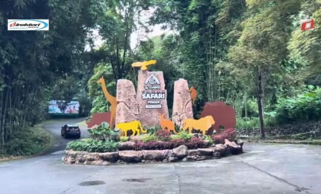 Harga Tiket Masuk Taman Safari Prigen Per Mobil