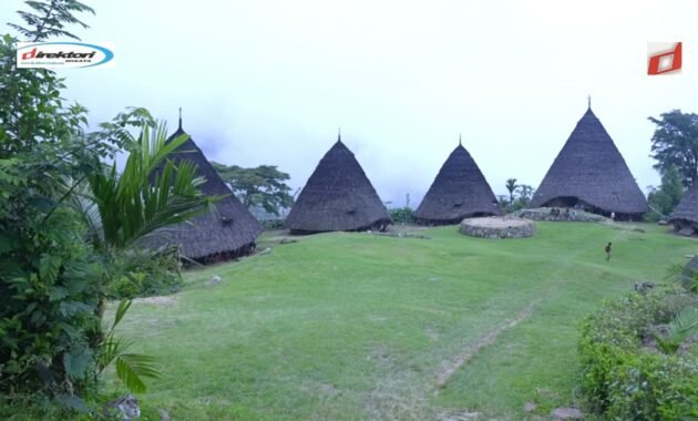 Kegiatan dan Festival Lokal