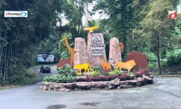 Pertanyaan Umum Seputar Tiket Masuk Taman Safari Prigen