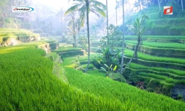 Tegalalang Rice Terrace: Keindahan Alam yang Menakjubkan