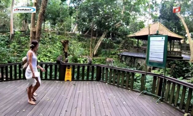 Ubud Monkey Forest: Temukan Satwa Liar di Jantung Ubud